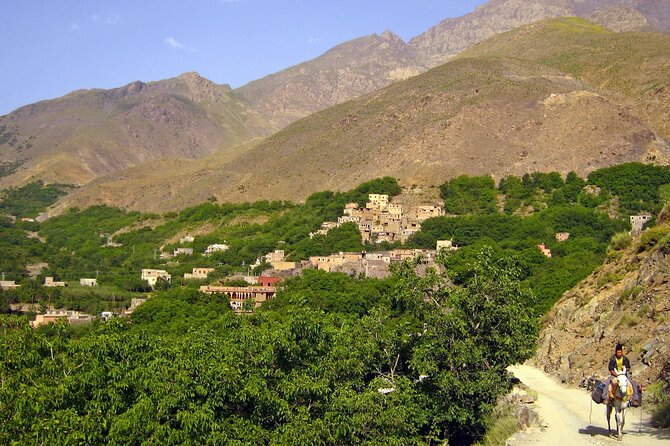 Agadir or Taghazout: Paradise Valley Atlas Mountain Swimming Trip - Booking, timing, and cancellation details