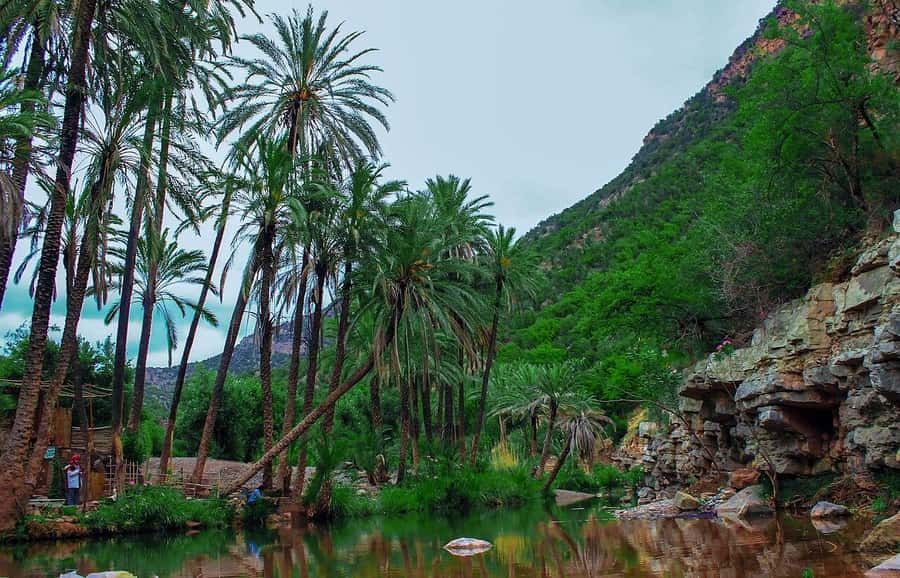 Agadir or Taghazout: Paradise Valley Atlas Mountain Trip - Leaving Agadir for the Honey Road