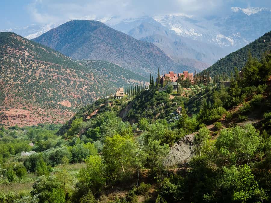 Agadir or Taghazout: Paradise Valley Atlas Mountain Trip - Who should book this outing