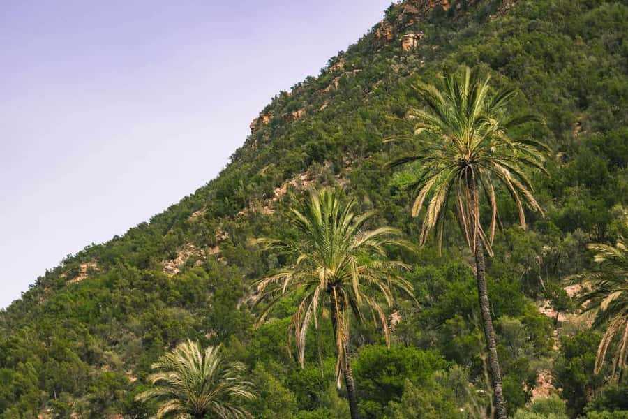 Agadir or Taghazout: Paradise Valley Atlas Mountain Trip - Practical advice before you go