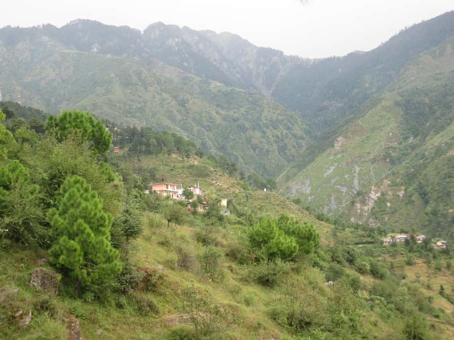 Agadir or Taghazout: Paradise Valley Atlas Mountains - The botanic garden and argan cooperative stops