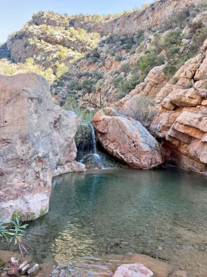 Agadir or Taghazout: Paradise Valley Atlas Mountains - Small practical choices that improve the outing