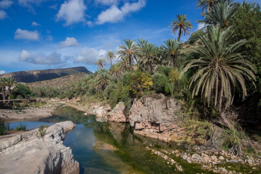Agadir or Taghazout: Paradise Valley Atlas Mountains Tour - Walking into Paradise Valley