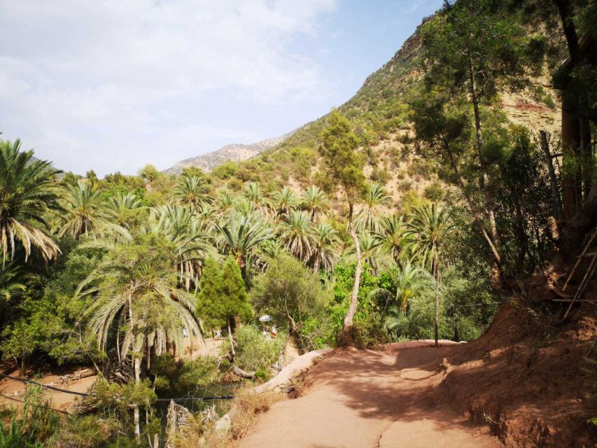 Agadir or Taghazout: Paradise Valley Atlas Mountains Tour - The guides are a major part of the value
