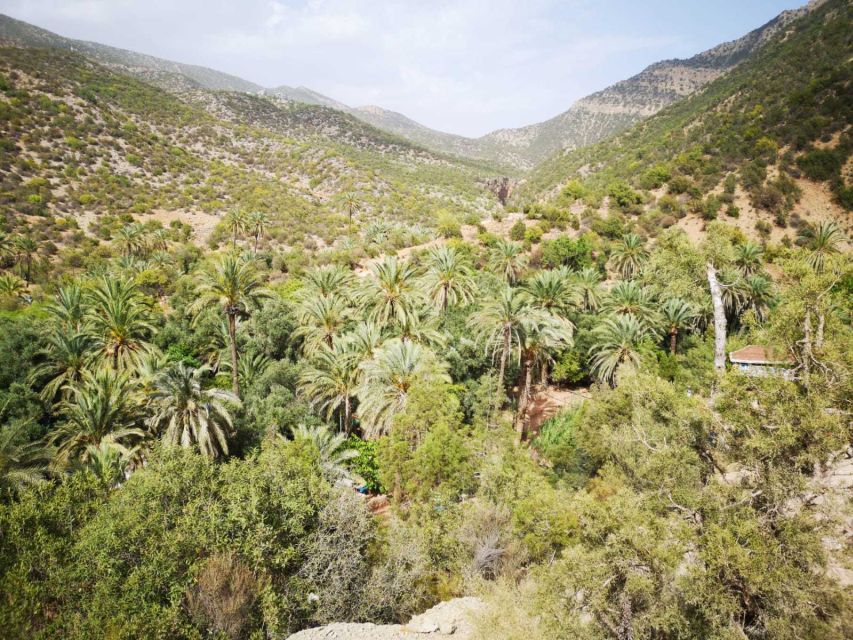 Agadir or Taghazout: Paradise Valley Atlas Mountains Tour - Is $21 a good price?