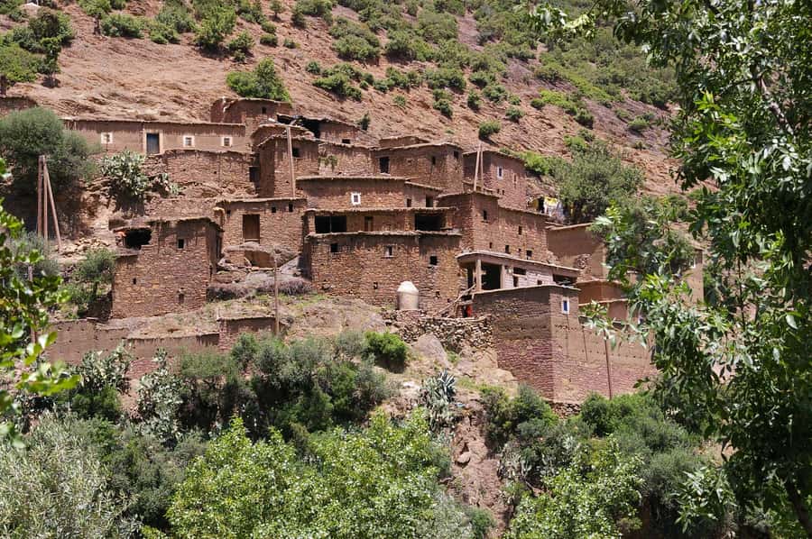 Agadir or Taghazout: Paradise Valley Atlas Mountains Trip - Reaching the palms and rock formations