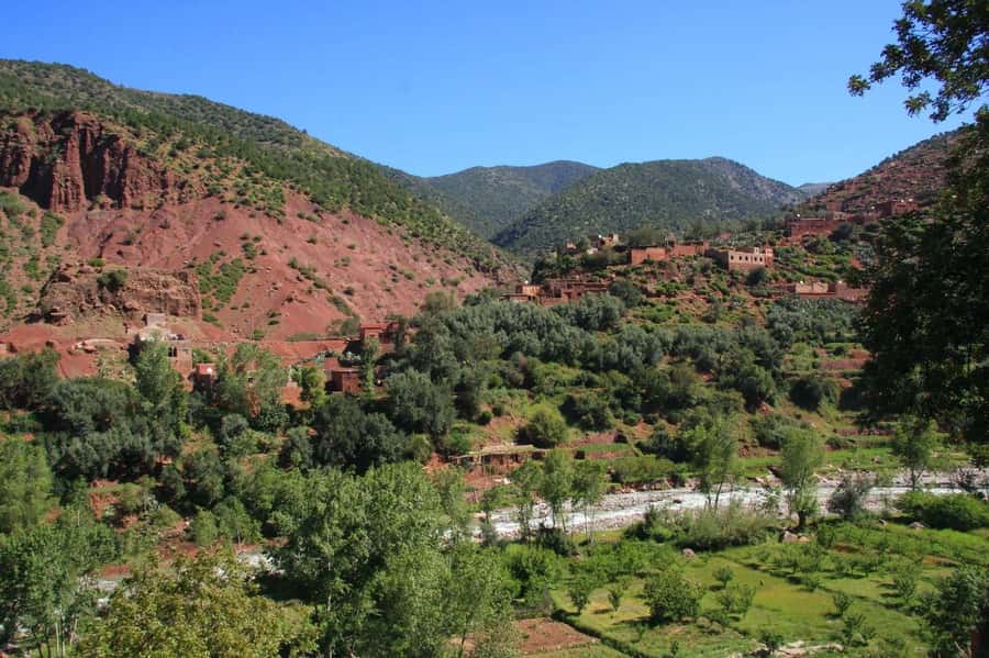 Agadir or Taghazout: Paradise Valley Atlas Mountains Trip - The Honey Road of Immouzar