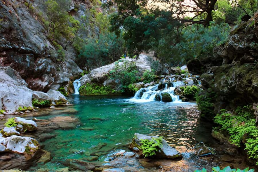 Agadir or Taghazout: Paradise Valley with Lunch & Transfers - A short walk through Paradise Valley