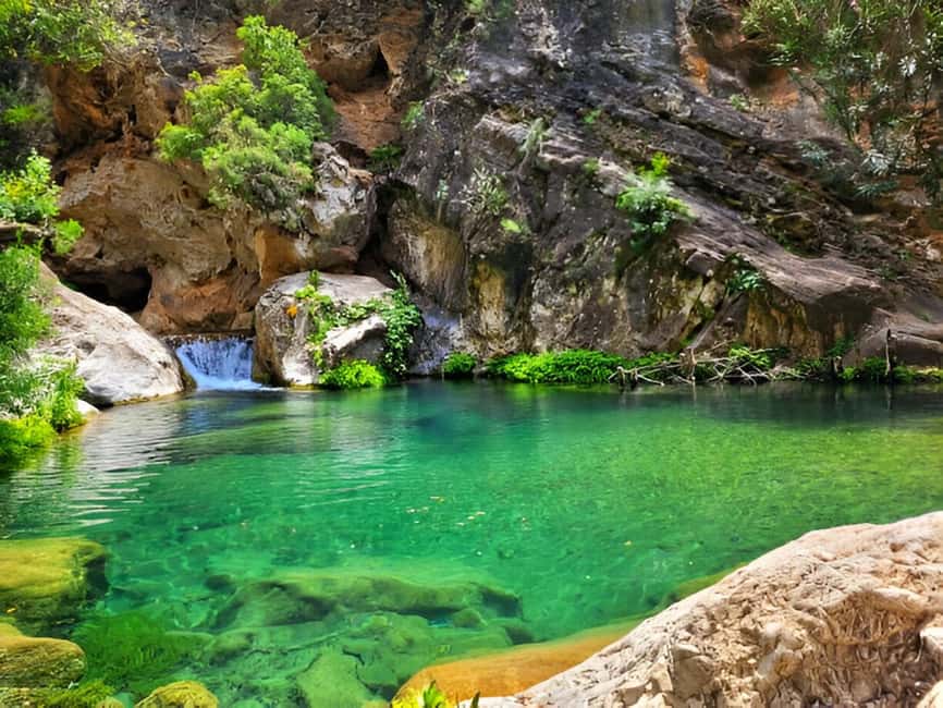 Agadir or Taghazout: Paradise Valley with Lunch & Transfers - Argan oil and the rural side of Morocco