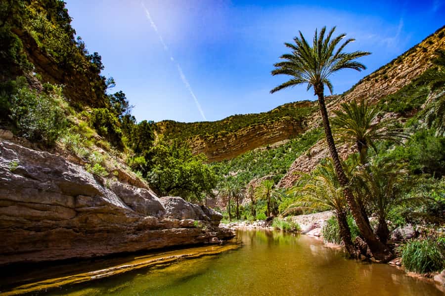 Agadir: Paradise Valley & Desert Sand Dunes with Camel Ride - The camel ride at sunset