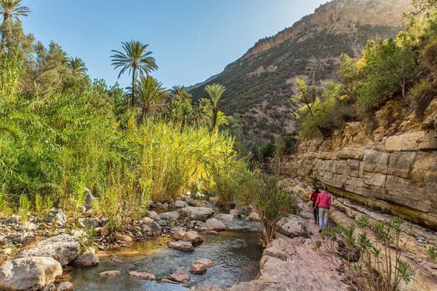 Agadir: Paradise Valley & Desert Sand Dunes with Camel Ride - A homemade Moroccan lunch near Tamri