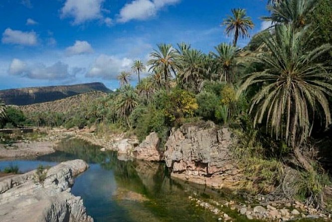 Agadir Paradise Valley Guided Tour Swimming & Breakfast - Breakfast in a botanical garden
