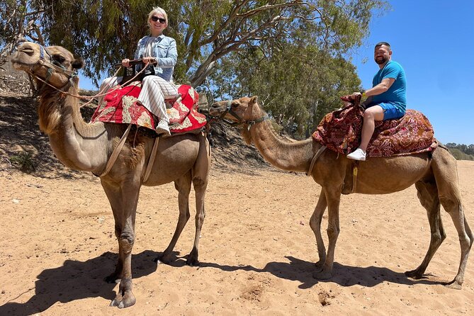 Agadir Quad ATV Adventure Tour with Berber Tea Experience - Moroccan tea and cookies in a traditional tent