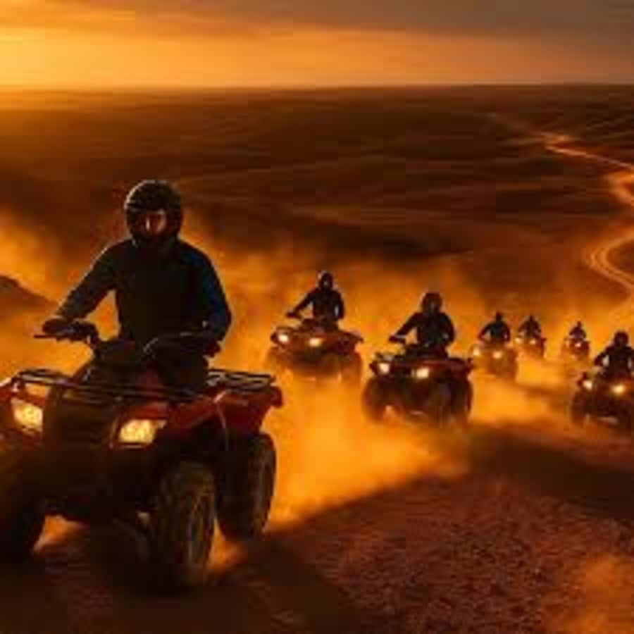 Agadir: Quad Bike Safari Desert With Moroccan Tea - Looking for goats in the argan trees