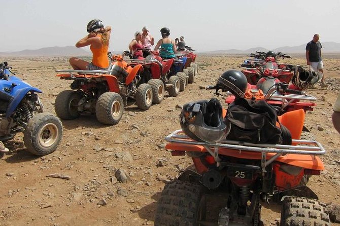 Agadir Quad Biking - Dunes, argan trees, and Berber countryside