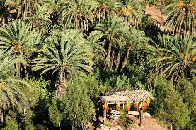 Agadir Quad Biking on the Beach & Sandboarding in the Desert - Timlalin sandboarding, with time to learn