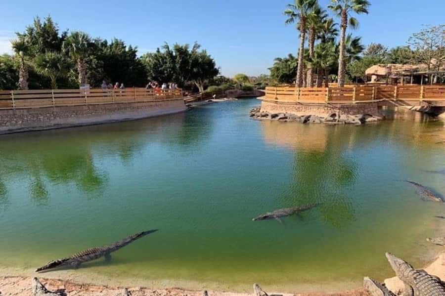 Agadir: Quad Safari with Crocoparc Optional - Crocoparc and its 300 Nile crocodiles