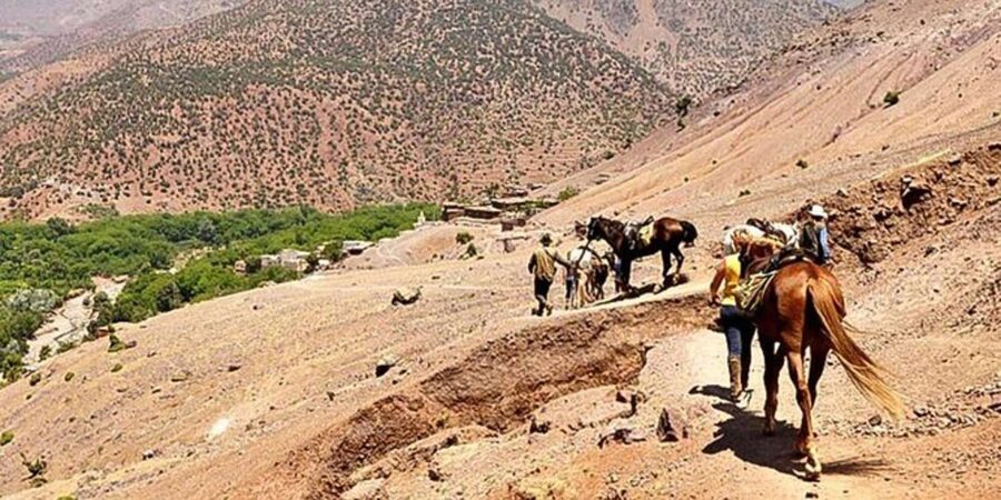 Agadir: Quad Safari with Crocoparc Optional - What to wear and bring