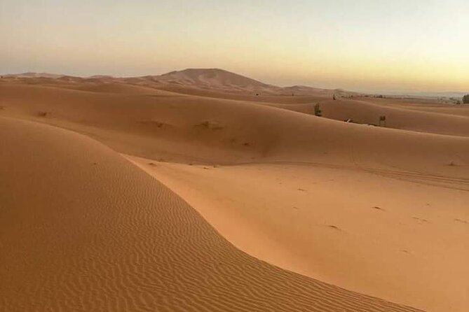 Agadir Sahara Day Trip with Lunch - Who will enjoy this route most