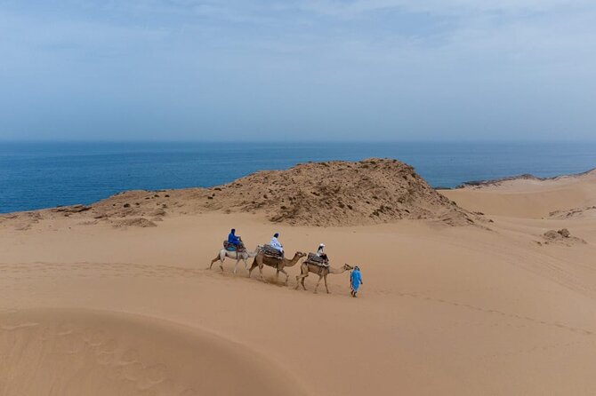 Agadir Sand Dunes and Camel Ride in Tifnit with Lunch - What the guides add to the day