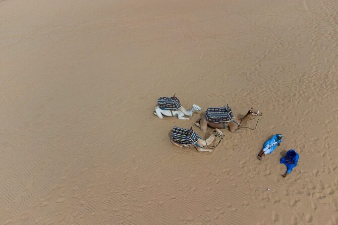Agadir Sand Dunes and Camel Ride in Tifnit with Lunch - Who should book this Agadir day trip?