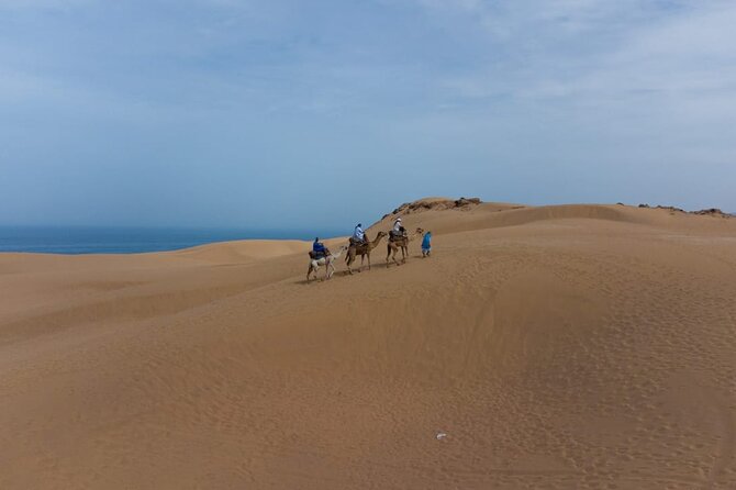 Agadir Sand Dunes and Camel Ride in Tifnit with Lunch - Practical advice for a smoother day