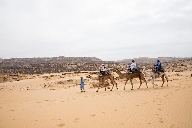 Agadir Sand Dunes and Camel Ride in Tifnit with Lunch - The Berber village and culture stops