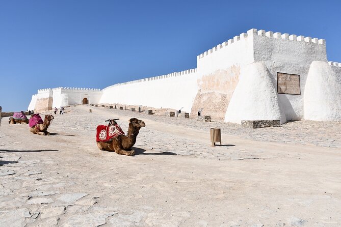 Agadir Sightseeing & Medina Polizzi Discovery - Who should book this Agadir tour?
