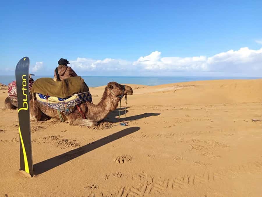 Agadir Sinec Canyon Desert Tour + Optional Sandboarding - Should you book the Agadir Sinec Canyon tour?