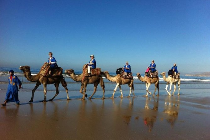 Agadir Sunset Camel Ride with Delicious Couscous & Barbecue - From Agadir to the Oued Souss River