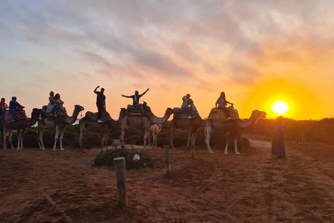 Agadir Sunset Camel Ride with Moroccan Barbecue & Hotel Transfers - Mint tea, Moroccan cakes, and a proper barbecue