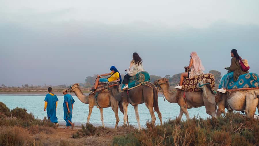 Agadir/Taghazout: Camel Ride with Tea Drink and Transfers - Key points before you book