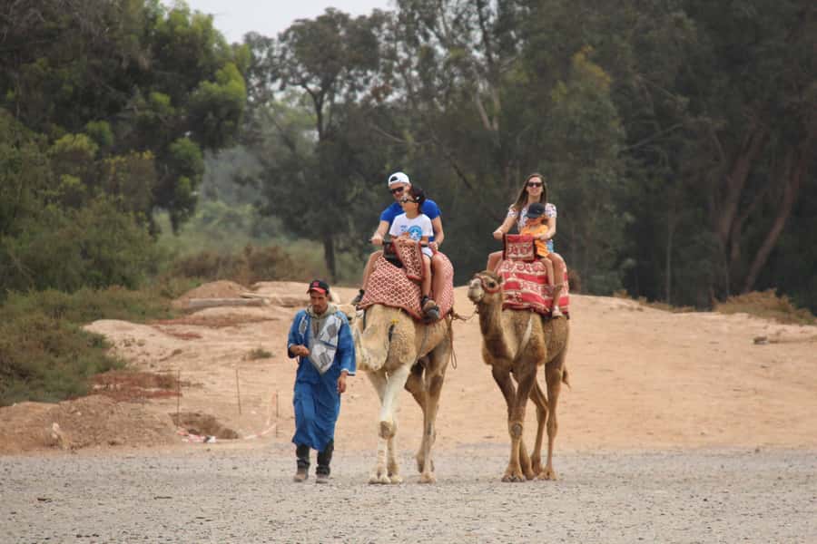 Agadir/Taghazout: Camel Ride with Tea Drink and Transfers - Is $21 good value in Agadir?