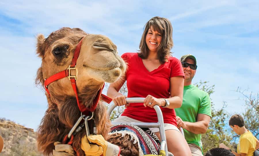 Agadir/Taghazout: Camel Ride with Tea Drink and Transfers - Practical advice for a smoother ride