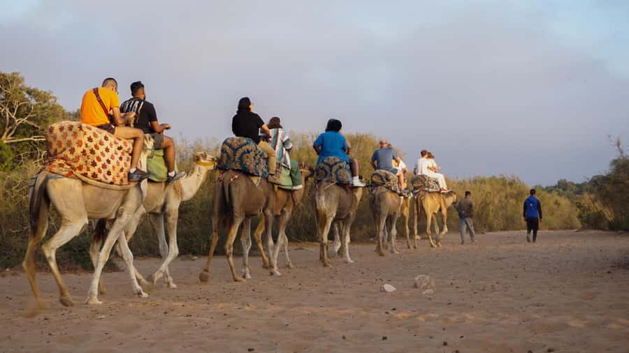 Agadir/Taghazout: Camel Ride with Tea Drink and Transfers - Should you book the camel ride?