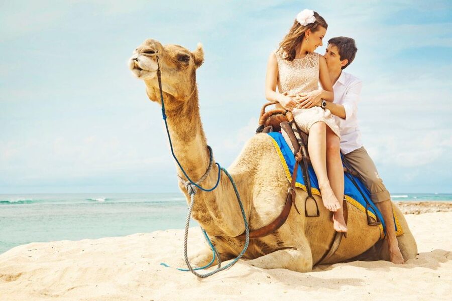 Agadir/Taghazout: Camel Rides with Tea Drink and Transfers - Animal care and what to consider