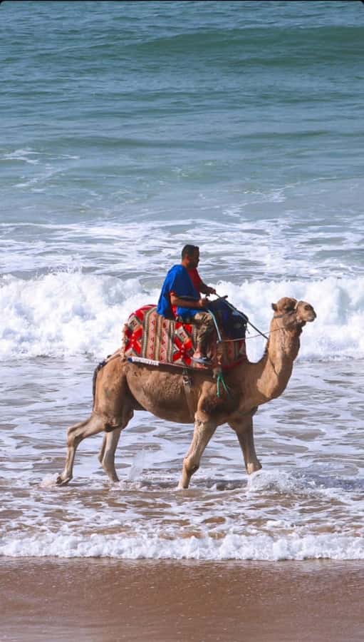 Agadir: Taghazout, Colorful village & Timlaline Desert Trip - Timing, comfort, and what to pack
