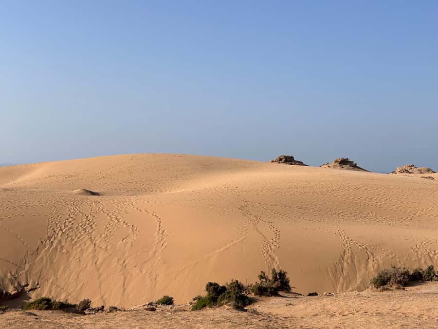 Agadir: Taghazout, Colorful village & Timlaline Desert Trip - Taghazout: surf culture in a short stop