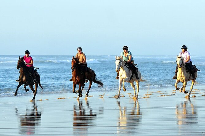 Agadir/Taghazout Horse Ride on the beach - Riding from the ranch to the Atlantic