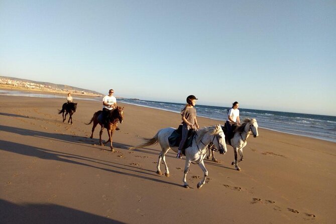 Agadir/Taghazout Horse Ride on the beach - Why the $30.20 price can be good value