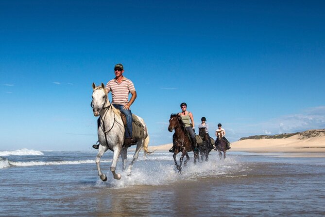 Agadir/Taghazout Horse Ride on the beach - Who will enjoy this most