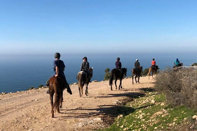 Agadir/Taghazout Horse Ride on the beach - Useful planning advice for Agadir and Taghazout
