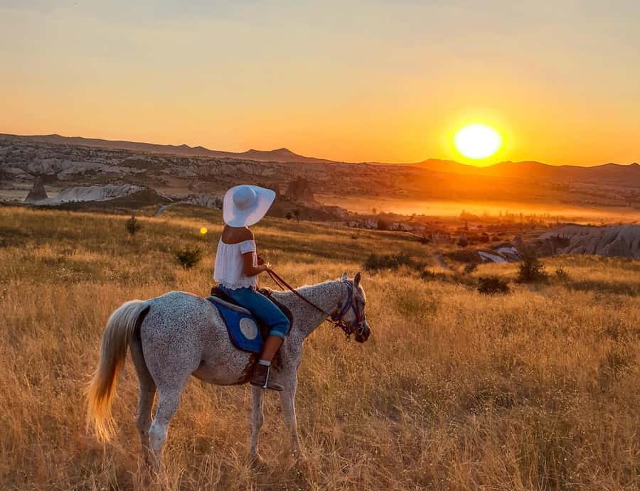 Agadir/Taghazout: Horse Rides Experience With Transfers - A quiet horse ride outside Agadir