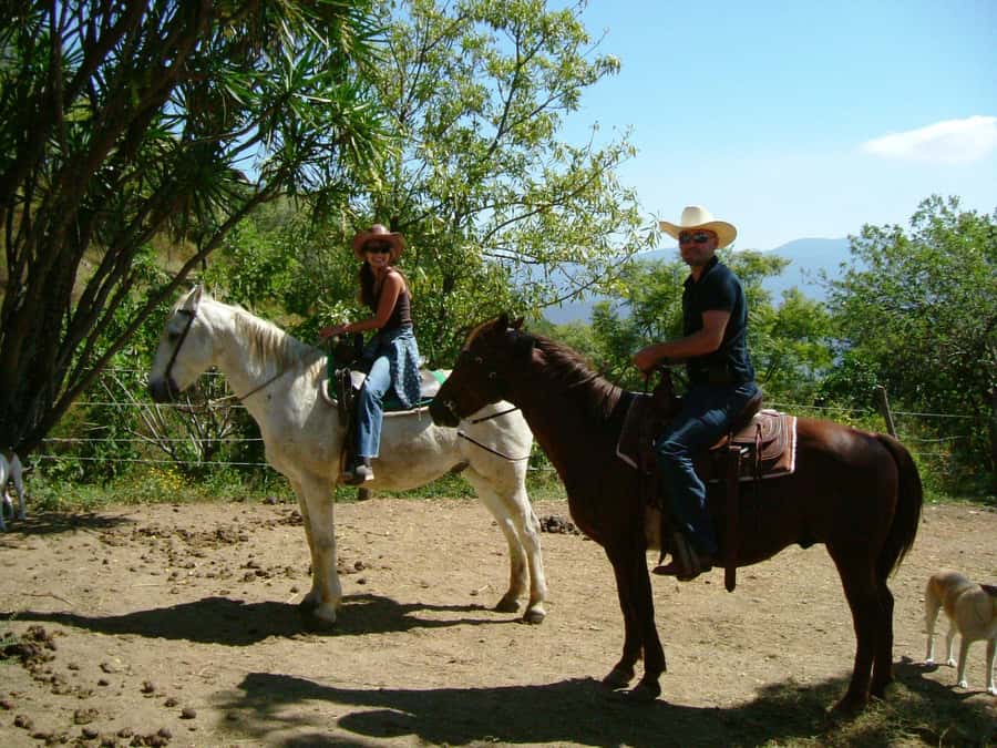 Agadir/Taghazout: Horse Rides Experience With Transfers - What the one-hour route feels like