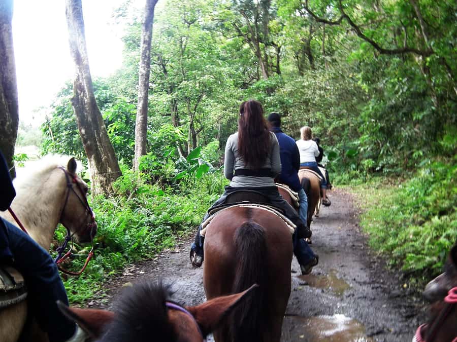 Agadir/Taghazout: Horse Rides Experience With Transfers - River views, greenery, and flamingos