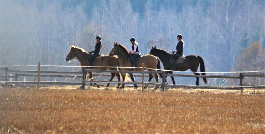 Agadir/Taghazout: Horse Rides Experience With Transfers - Transfers from Agadir and the Taghazout wording