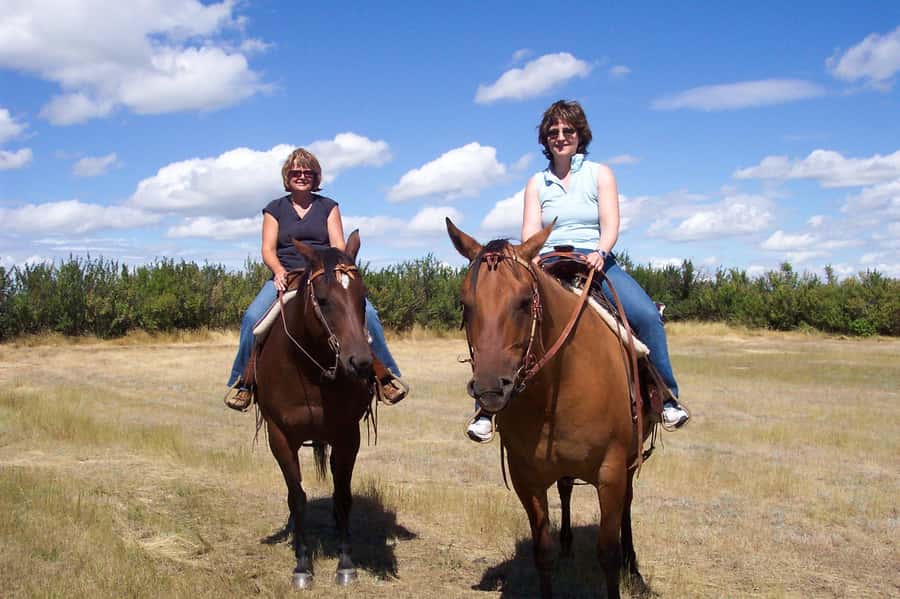Agadir/Taghazout: Horse Rides Experience With Transfers - How the guide affects the experience