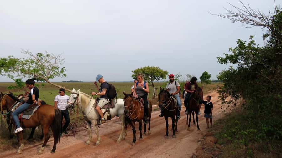 Agadir/Taghazout: Horse Rides Experience With Transfers - Is $23 a fair price?