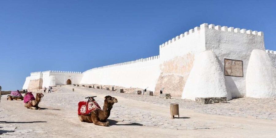 Agadir/Taghazout: Old Medina of Coco Polizzi and Agadir Tour - Who should book it?
