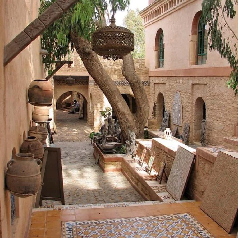 Agadir/Taghazout: Old Medina of Coco Polizzi and Agadir Tour - What happens at the argan oil workshop